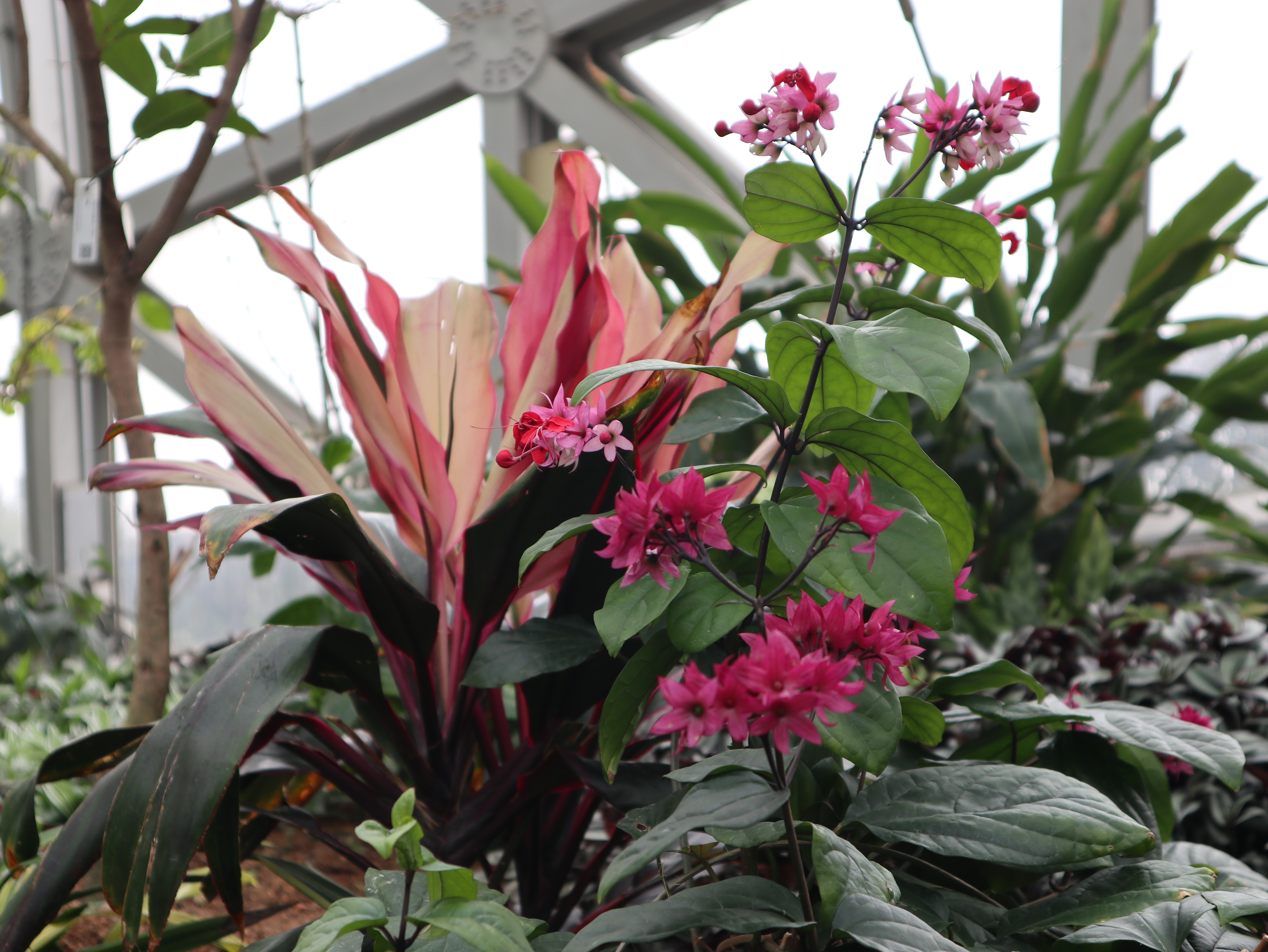 新聞 | 寶開組織“相約春季，歡暢游園”三八節主題活動